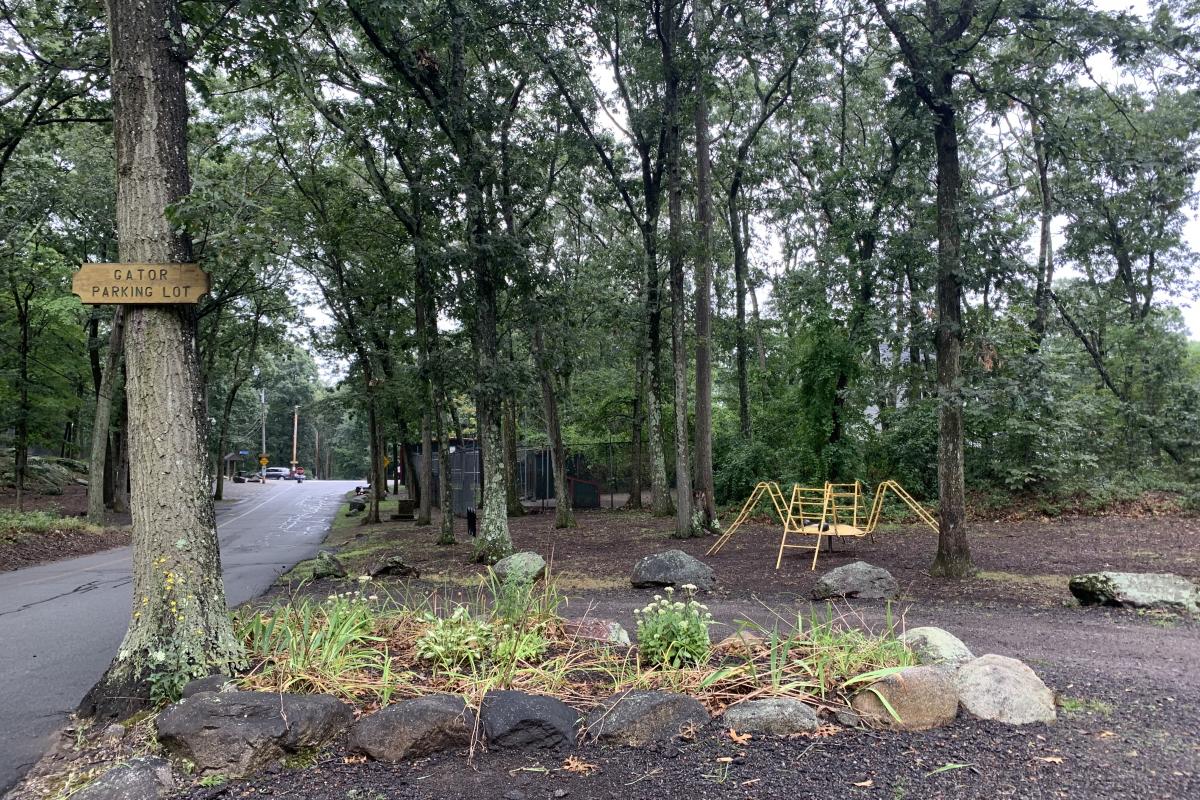 Photo of One of the Parks 35 