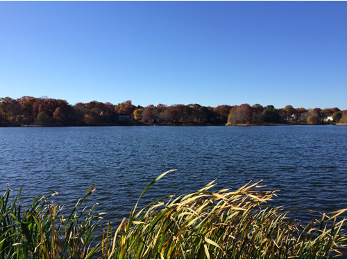 a lake with green grass in the foreground